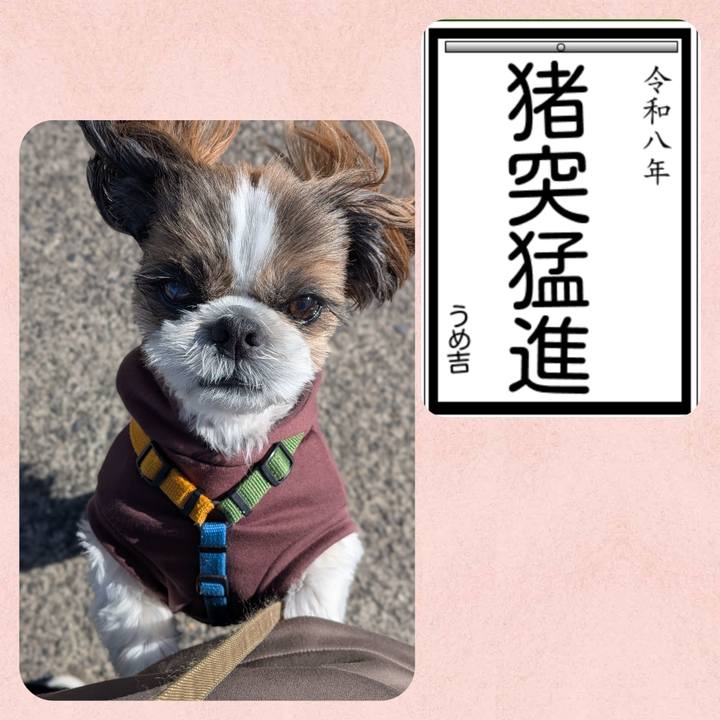 5782fb52 402d 413e bdc3 2cd82f19cfe1 1768034950009