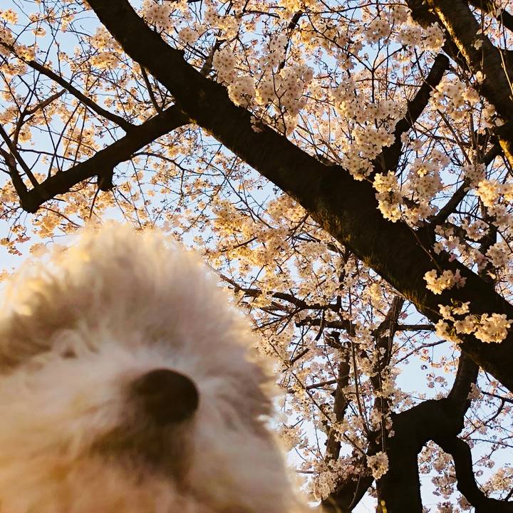 57830855 b0d0 47da 914d 57bec5ba7a3e 1522149532454