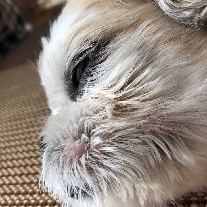 57831eef 6cf1 4890 9a65 55fdf1f6793a 1600379329239