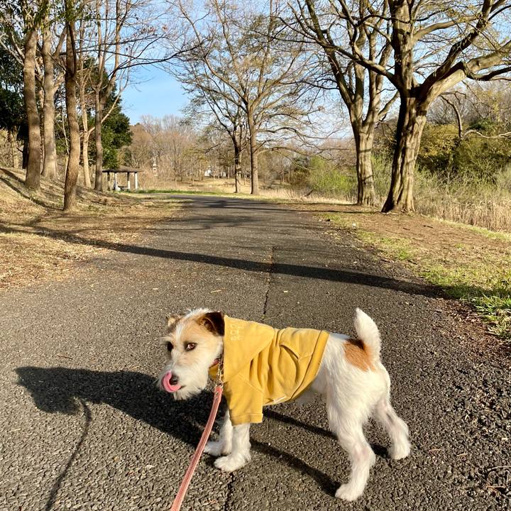 578324a3 96f7 4c91 a53c e5375f2c20c8 1678964576781