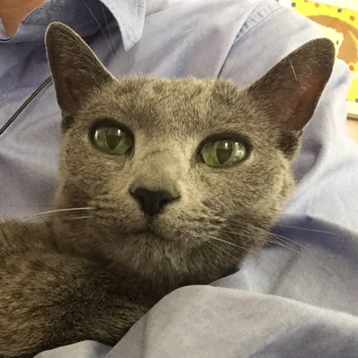 57833311 3bb4 461f ba02 aa1d0721a0d6 1558079507039