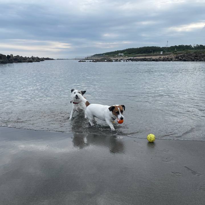 57833c3a a381 4a10 9183 dff52d60be22 1752019374525