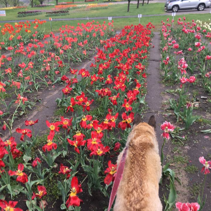 578352ee b86f 4a00 9826 b99cf901eaa2 1526432176500