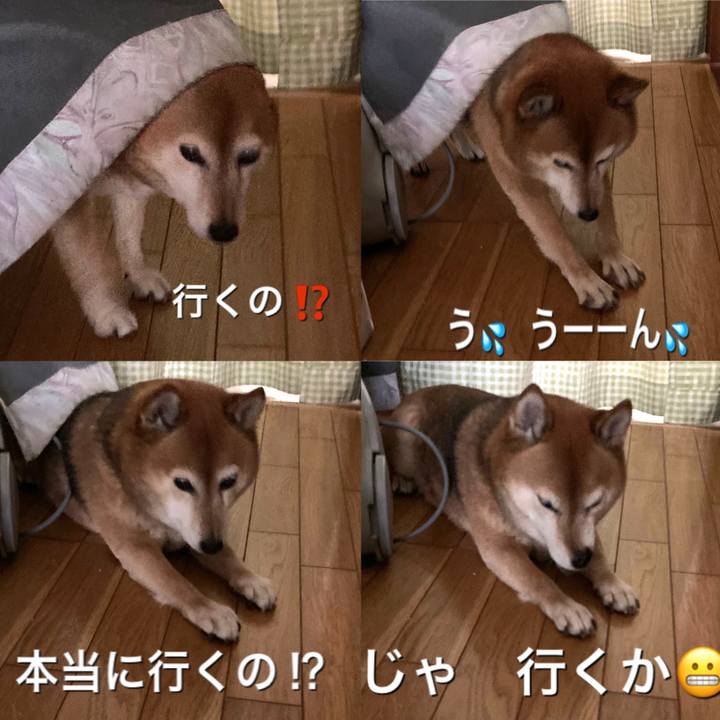 57836e8c e91d 496f a96e 0dd5604d9847 1644476238401