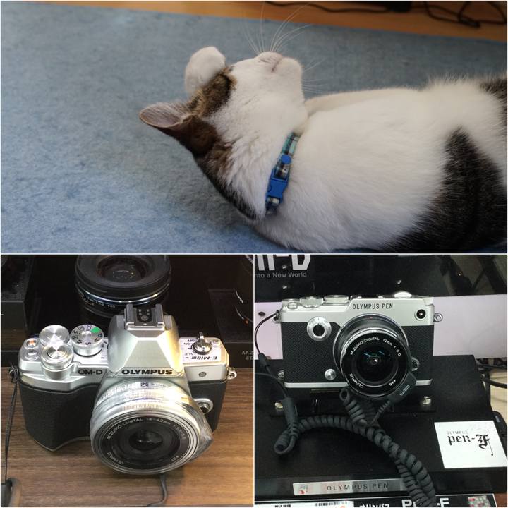 5783ad04 ed24 4dfc 8c2d 753410405439 1530707031262