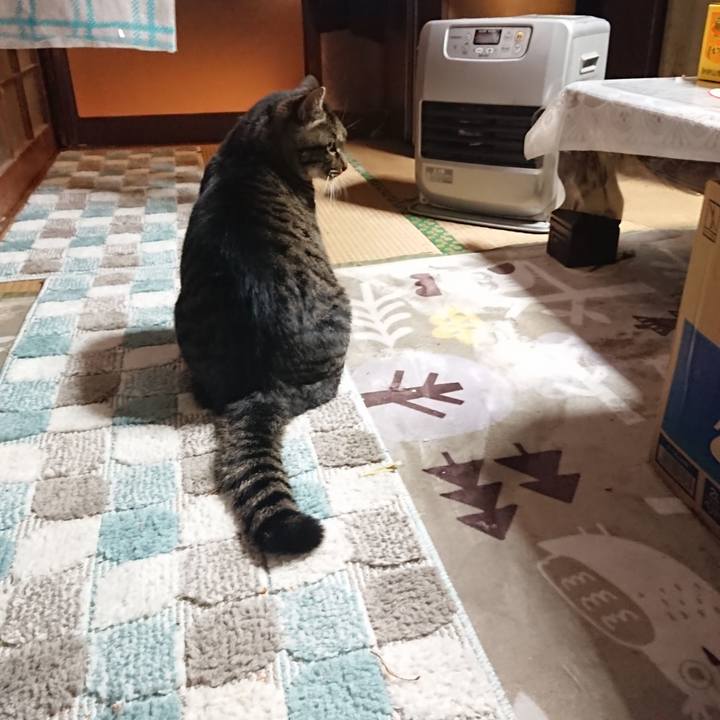 5783b665 e137 447f 8699 f4fb5a609c1b 1639826180722