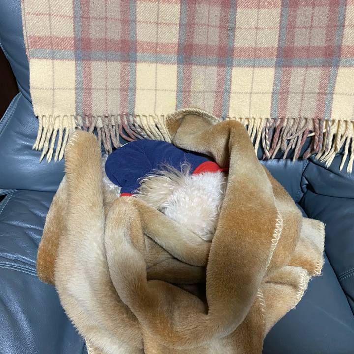 5783ef6c 48c4 44dc 97af 143659e3124d 1613736657639