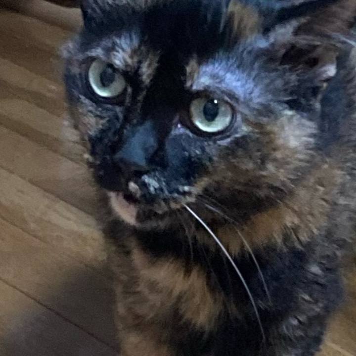 5783fe68 1318 4545 8256 c3d5c6c8330f 1721989254835