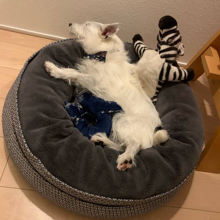 57841341 ae28 4148 99f5 bf5235216d93 1664713039085