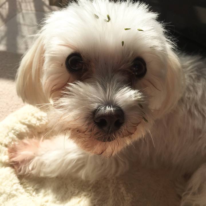 57842a4b fc69 41cd 8b90 d603279f464d 1509413386723