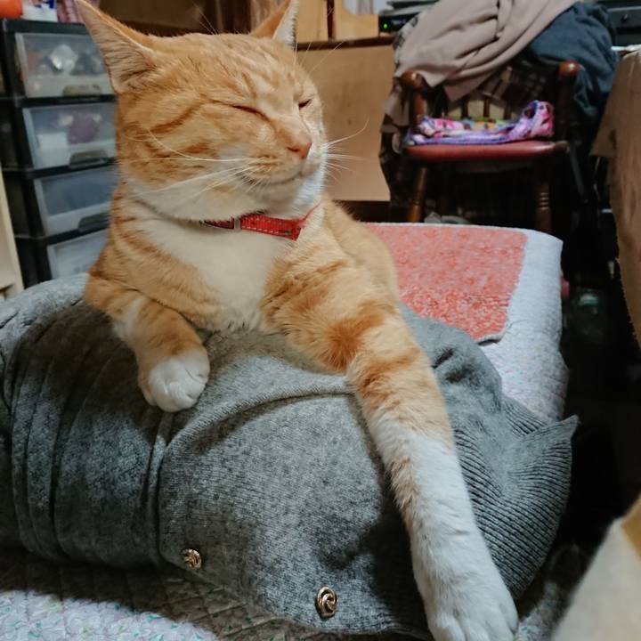 57843640 181b 4c09 8fd4 6aa86003c589 1575363878808