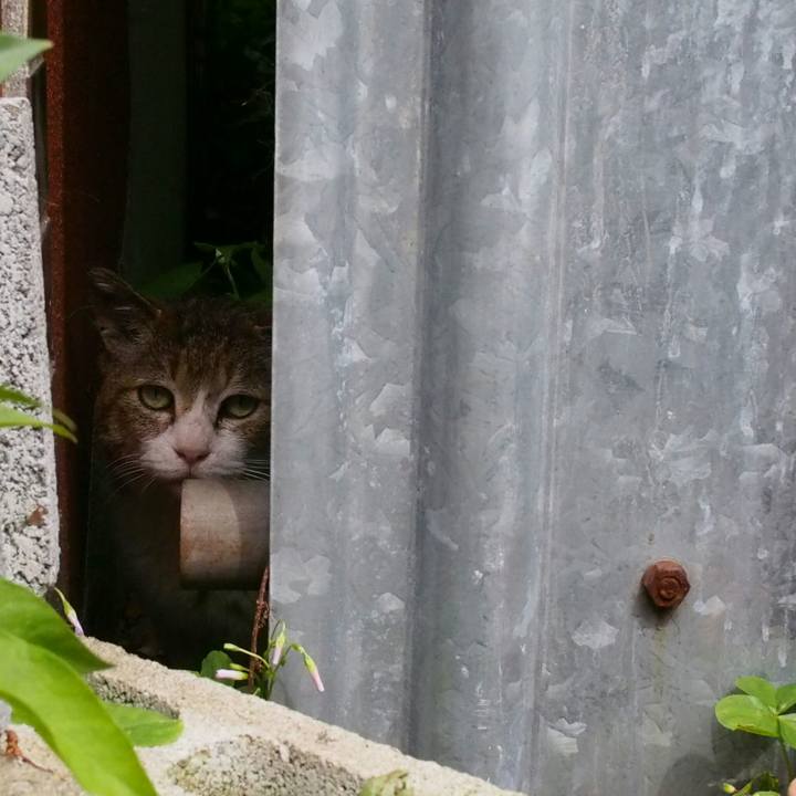 5784553e 710a 4c42 a653 72bc3e90cfb0 1526300962551