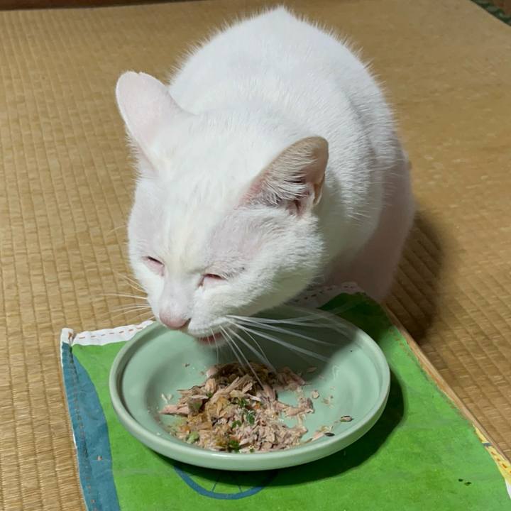 5784657d e9fb 47b8 81fa 04821227f414 1764591571556