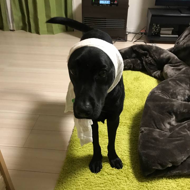 57847991 dffd 4d52 8927 43681db3feb5 1515671718567