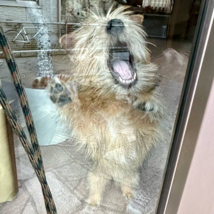 57848fdb 57be 4f51 afe9 a8d6cc007641 1704464157900