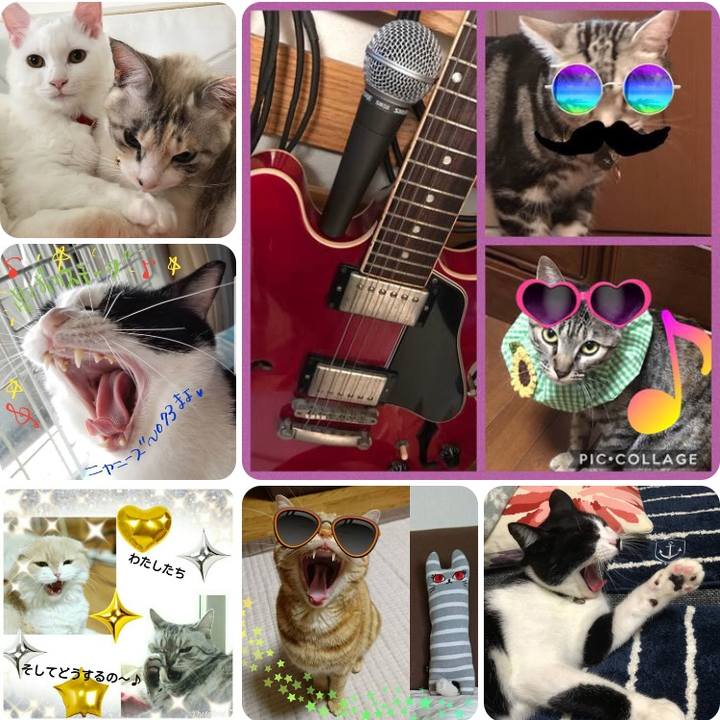 5784e4b8 7478 4907 ac0a 7f661130d6e6 1534082282779