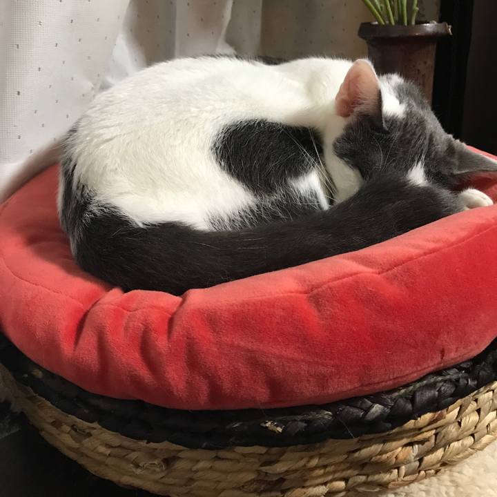 5784f106 f8f1 44f7 8815 2b6561ce554a 1509190375330