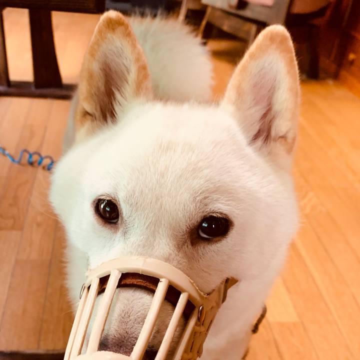 57850d5d 81c0 4faa 8c25 21ed0bd39307 1565138473858