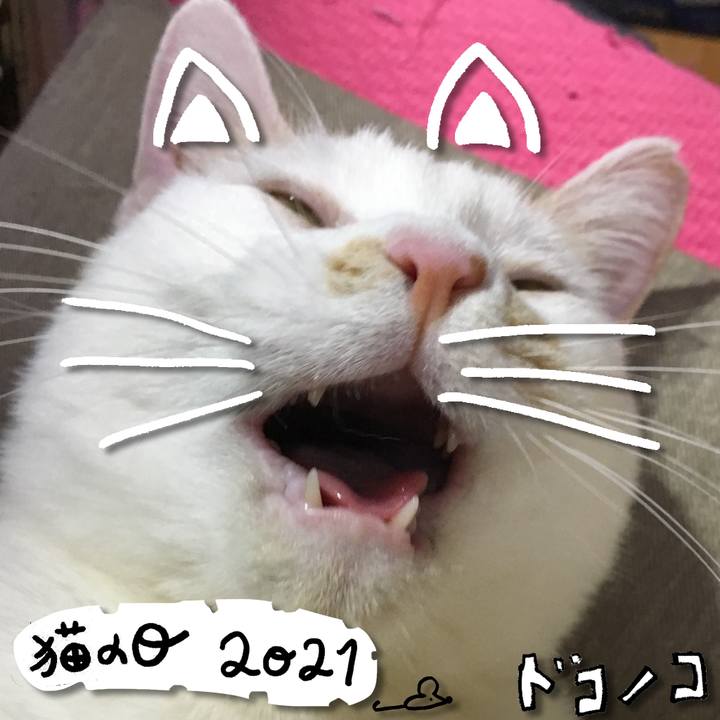 57852104 f72c 4c31 bd7a e7304192d75c 1614001339007