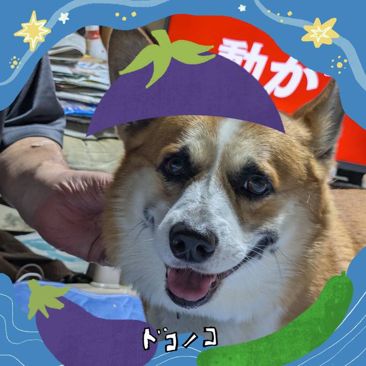 5785219b 5d9b 4de6 a3e8 0185d00d62c5 1755301472979