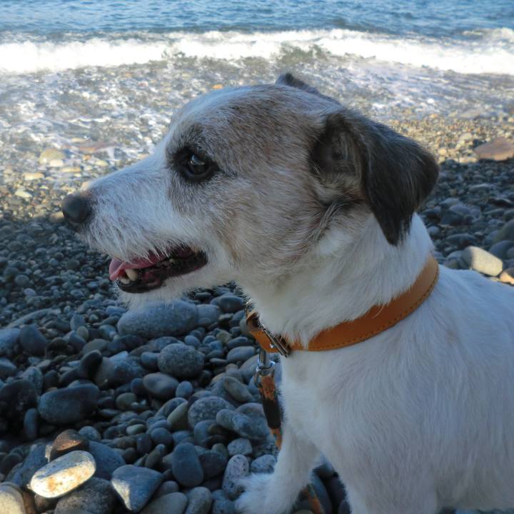 57855957 8981 40ab 8d53 fcb55193630e 1574572136295