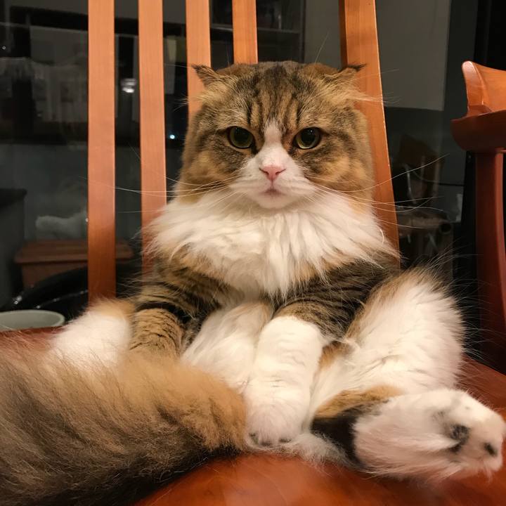 57858522 279b 44ce 9923 51005fb2920b 1509972503712