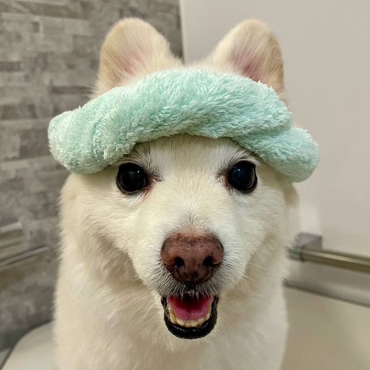 57859181 97b3 49e0 8fbf 1d6faa70f2c7 1759058331420