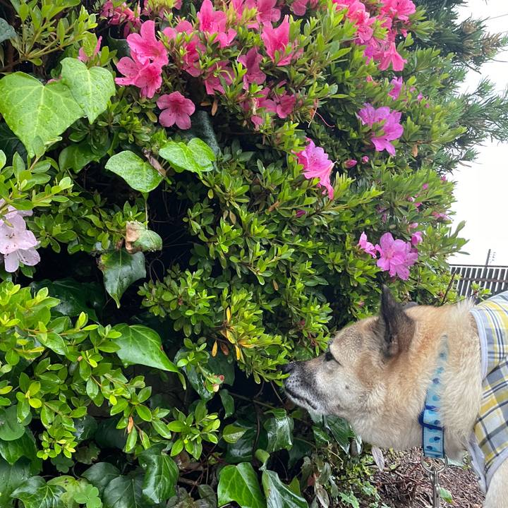 578599bc ccba 41fe 85f7 dd6619b9aebe 1685538449107