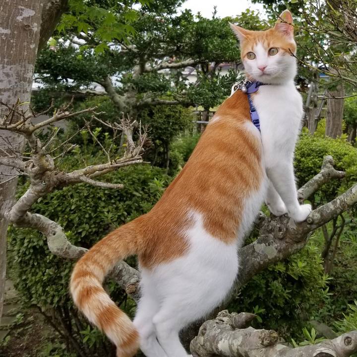 5785d728 ace8 4564 8853 6460e538e66a 1535890322188