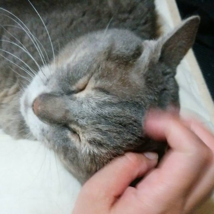 578649de 674a 41c0 8f3a 771504f4655f 1568810645055