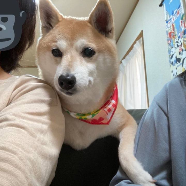 57868a44 91b8 490c a2b1 7311abe73a4f 1616411853012