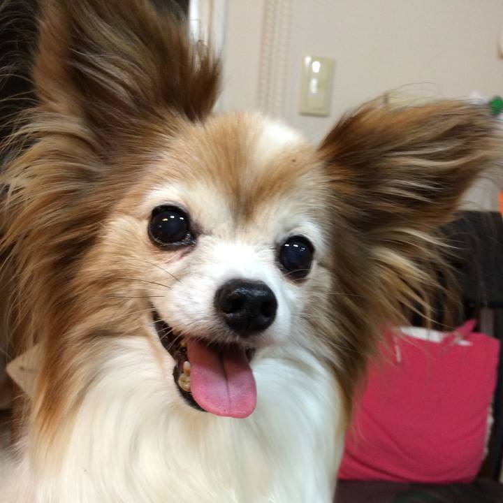 57869df0 ddf2 4aa2 b38f cebd07379371 1597318621074