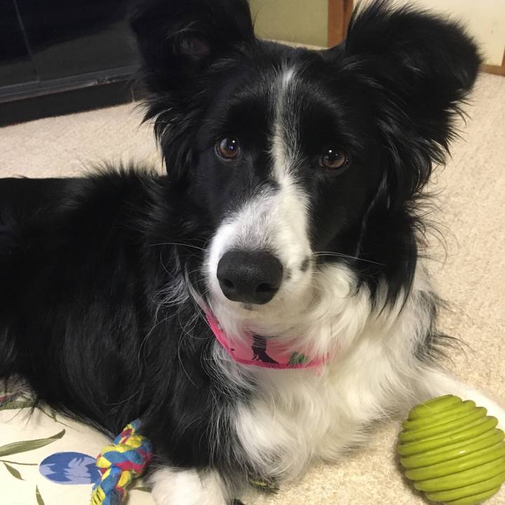 57869fef f5c9 44aa 870d 7557ebcf07c1 1518847753116