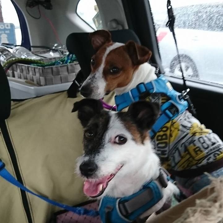 5786b837 7a6d 49c9 b177 3d8ab36cc70f 1593300556579