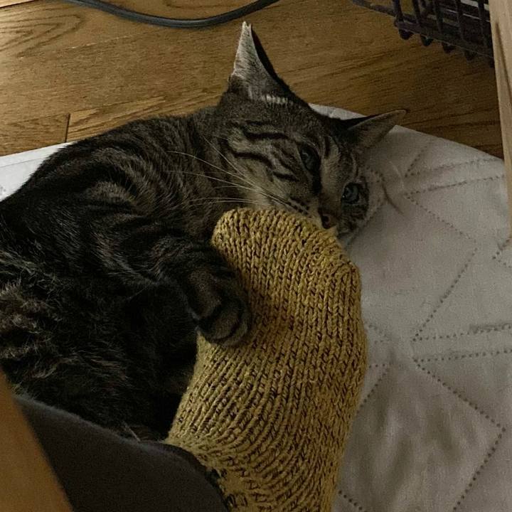 5786c1a1 cf8c 4281 8ae7 8cc73742a7f1 1670798770943