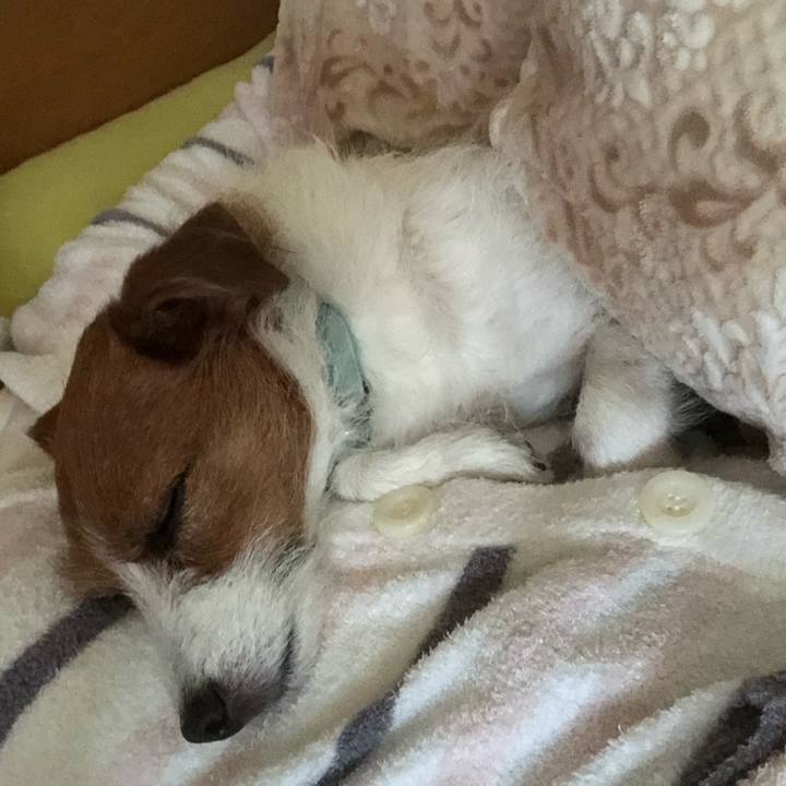 5786da42 b2c3 46c0 8db3 d296e523932f 1547355434172