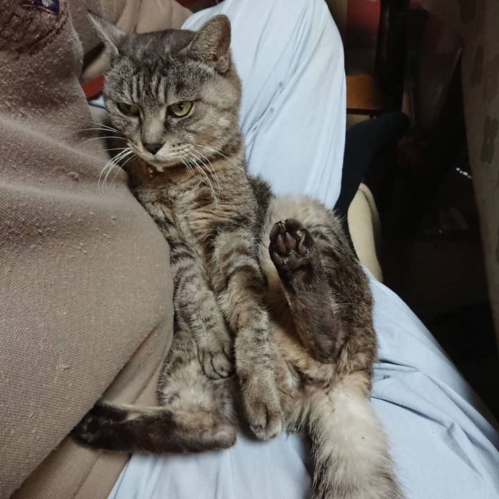 57871f85 adc4 422a 9f7f d89062a0e0fa 1603795528549