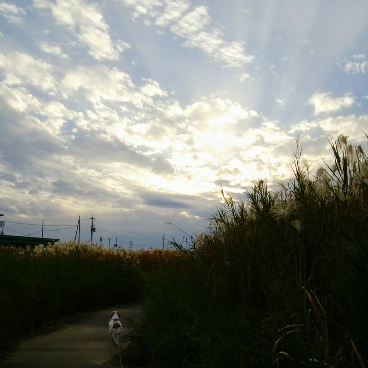 57872baa 84a3 40e0 abc7 7d1a37ddebcb 1542529738576