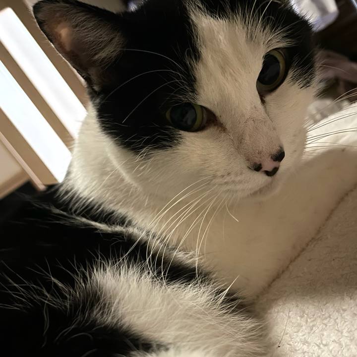 57875121 cfb7 4ddf b554 794b4cee8e3e 1643109163653