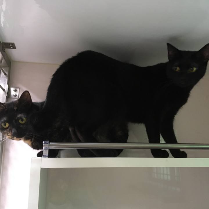 5787d90b 980a 478e aa63 175b1d3bb15a 1539774397273