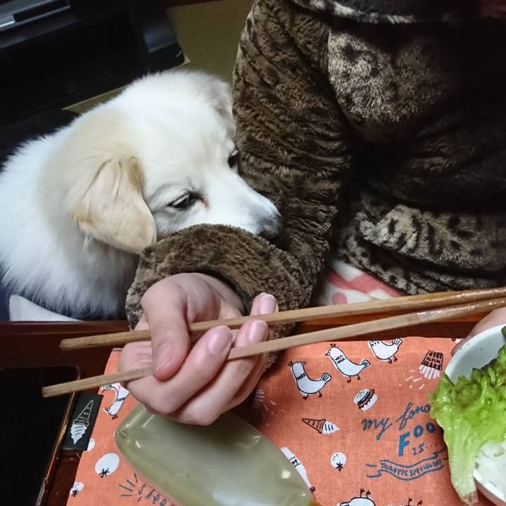 57882482 0679 4fb7 b35b 84c0f30dc035 1549189748305