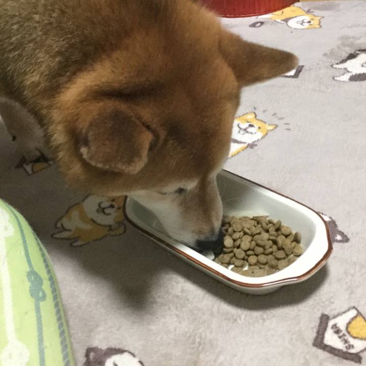 578876b1 7457 4638 ab97 9fc4217bc970 1613298208517