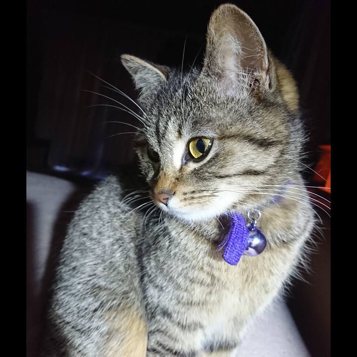 57887bb1 036a 4ee6 85ba cb7e4a7a52a8 1553289431707