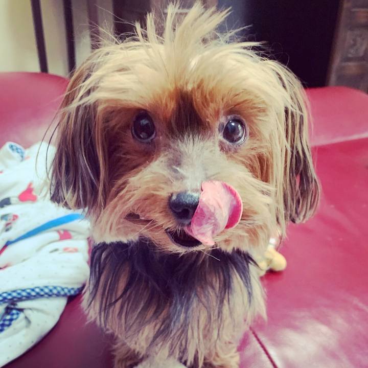 57887c14 0397 4ff3 8392 a176f36c70d9 1551249748546