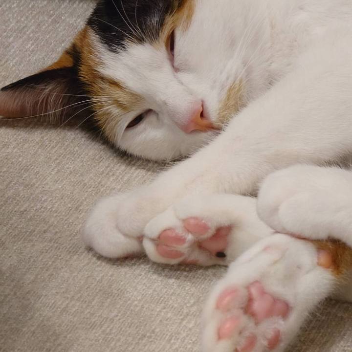 57889ce2 3a99 45e7 bb8f 78a7da306c1a 1764146609753