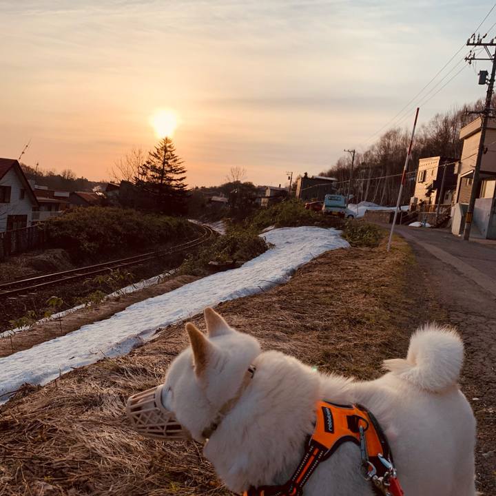 5788cf34 d4ef 4d31 b3ba c6e139977551 1617744351238