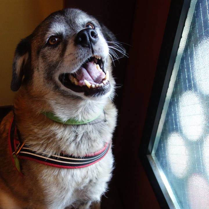 578911d5 a2ec 4770 88d5 07ce70cbf0e6 1680051248370