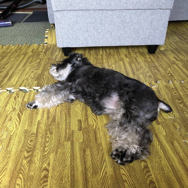 5789293f 7b1f 4124 b6df c0ae1351b7ae 1662170499339