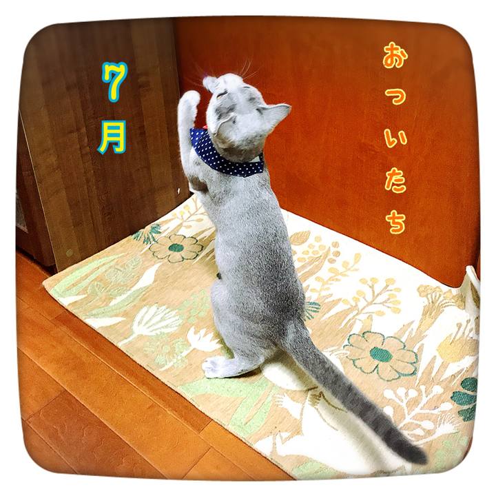 57892ced a245 4c0f b490 d2a265603bad 1530417046075