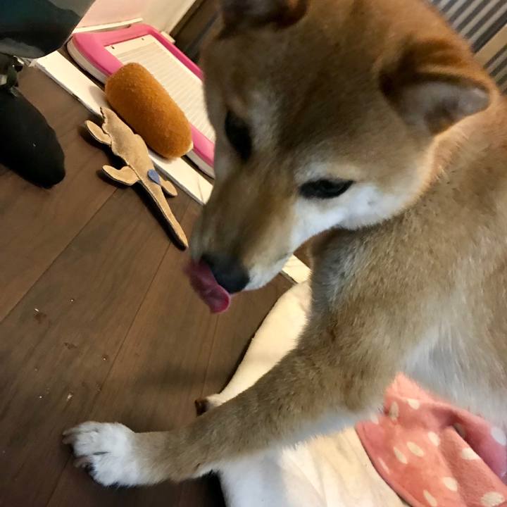 57897801 5d16 46e5 9b2f 3725ea7b7e89 1524059711144